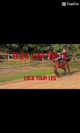 THEN TRY IT.//#horse #fail #edit #riding