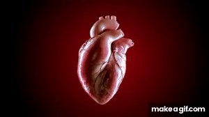 3d animated human heart on Make a GIF