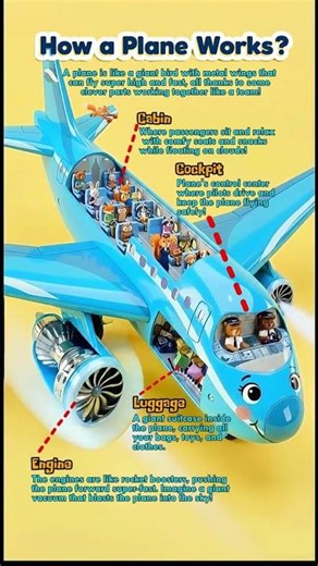 How Do Planes Fly? Fun English Science for Kids #howitworks #learning #airplane #animation #learn