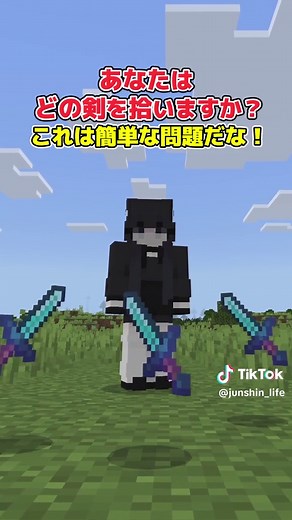 珍しいアドオン紹介：マイクラ統合版のスキン