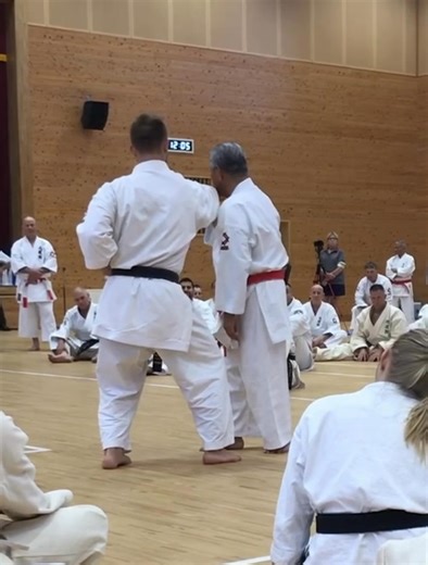 On minimal motion to receive power Stressing minimal motion and letting the punch slip to his silhouette, Iha Sensei says, “You don’t need to push. Just this much. You’re ok. It’s no problem. Shorin Ryu just…pong.” The sound effects he adds are points of emphasis. He finishes with a kagite that catches the release of power at the end of the punch, coupled with a knee press to off balance. Apologies for the poor sound and angle. #ihaseikichi #seikichiiha #shorin #ihadojo #shidokan #beikokushidoka