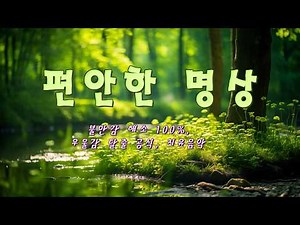 숲속의 아침 🌿 스트레스를 날려버리는 자연의 소리 & 편안한 명상음악 - 불안감 해소 100%, 우울감 탈출 공식, 치유음악