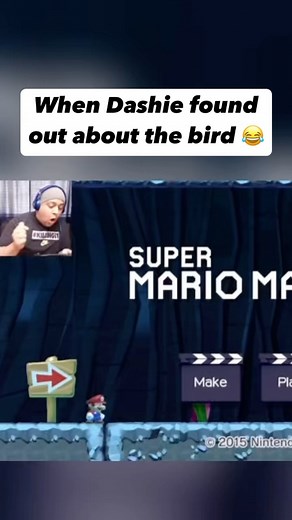 DashieNet on Instagram: ""That bird that I hate." 🤣 Never forget this iconic Dashie clip, hope ya'll enjoy my 100th reel! #dashie #dashiegames #mario #mariomaker #nintendo #games #gaming #funny #funnyclips #clips #funnyvideos #reels"