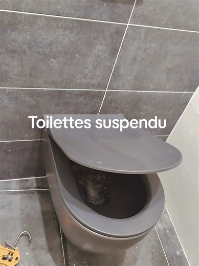 Toilettes Suspendu: Installation et Entretien