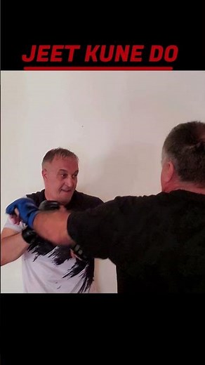 JEET KUNE DO wing chun #martialarts #kungfu #brucelee