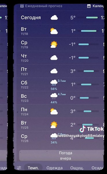 погода Киев Украина weather forecast Kyiv Ukraine #погода #weather #funny #fypシ゚ #viralvideos