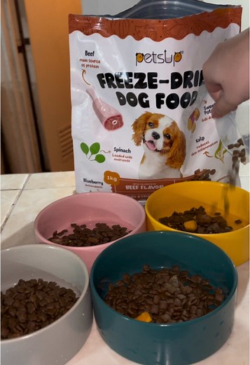 PetsUp Freeze Dried Dog Food Review: Picky Eater No More!