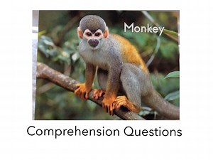 Monkey Comp. Questions LLI HCPSS
