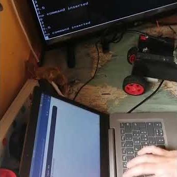 Telepresence homemade