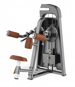 [Hot Item] High Quality Commercial Gym Equipment Lateral Raise Machine