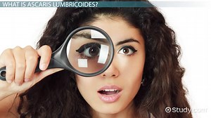 Life Cycle of the Ascaris Lumbricoides