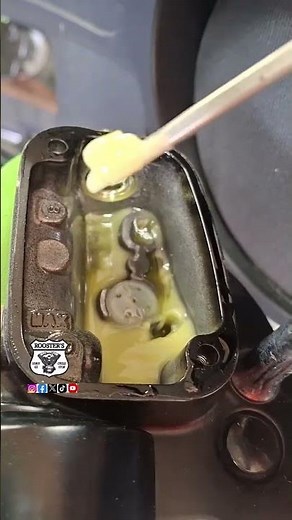 Brake Fluid Flush