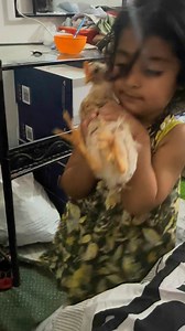 37K views · 429 reactions | #village #city #trending #foryou #india#pakistan #vlog #family #house#punjabi #evening#routine #village#punjabifamily #familyvlog#villagevlog#villagefoodS | sidra's kitchen recipes | Facebook