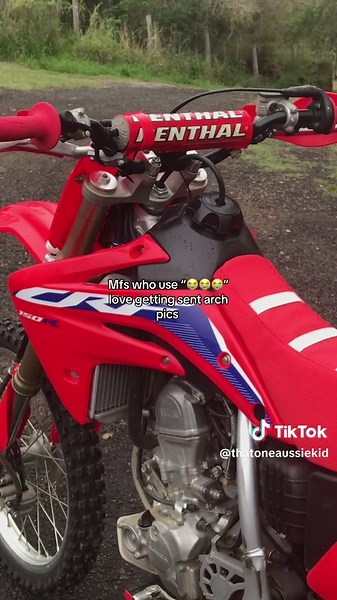 Arch Pics Explained: Insights for Visual Learners