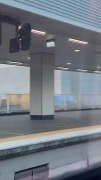 Brisbane to Sydney XPT First Class Daysitter Train Trip 18 Nov 2025 #windowview #australia