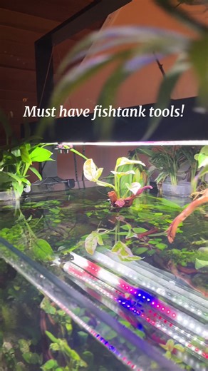 Essential Tools for Aquascaping Your Fishtank