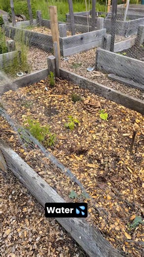 Designed for flexibility, our fruiting blocks can be fruited indoors or out, on counters or buried under mulch. Right now, save 20% with code 'BLOCKPARTY'. | North Spore
