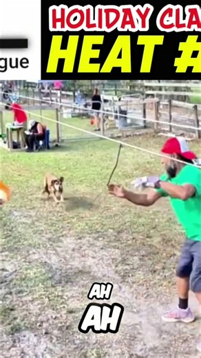 Dog Races: Achieving a Personal Best #shorts