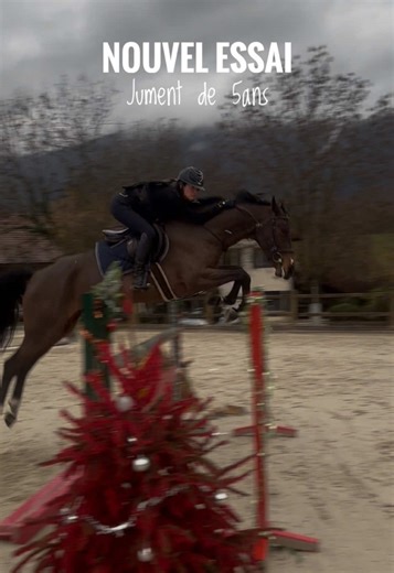 Essais de chevaux : rencontre avec Vanity en piste