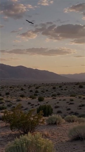 ⛰️ The Mountains That Built Me