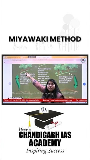 Miyawaki Forest: Grow a Jungle in Just 3 Years!