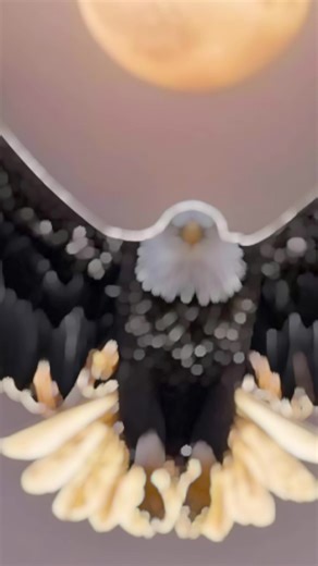 paco bou cheikh ibra fall (@paco0346)’s videos with son original - Jay Du Bandit