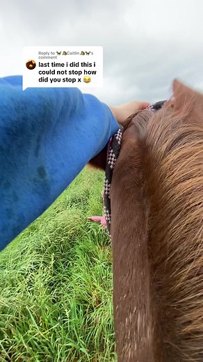 Stop Rusty: A Guide to Stopping Your Horse Safely