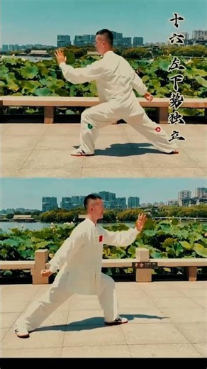 24 Form Taichi Tutorial — Move 16 Left Lower Stance and One Leg Balance Front and Back Demonstration