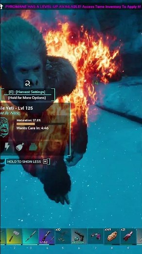 Taming a yeti ???? on ARK: Survival Ascended The center!! #gaming #arksurvivalevolved #tametheark