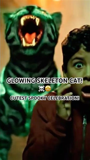 Skeleton Cat’s Halloween Party Gets Out of Hand!