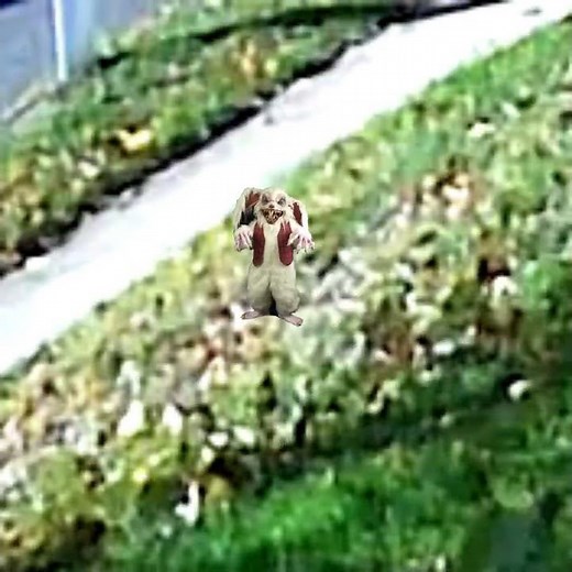 Here Come The Creepy Easter Bunny! 🐰