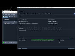 How to flash any crypto currencies (BTC FLASH) software 2025