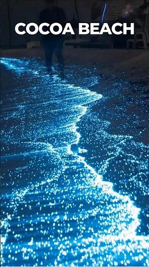 Things to do Cocoa beach Florida #amazingfacts