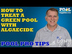 How to treat a green pool with algaecide | Pool Pro Tips With Gary | PoolSupplies.com