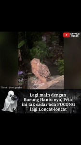 Burung hantu mengundang pocong | Satpam Horror