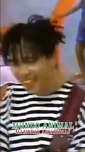 Mundo Animal|Mamonas Assassinas