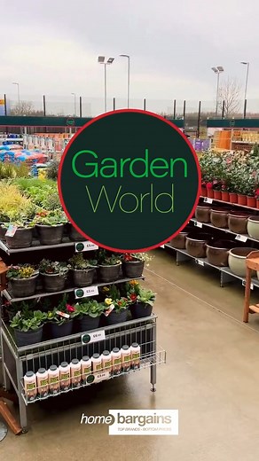 Our garden centres are ready for you! From plants to aggregates, and furniture to garden decor, we've got everything you need to create your dream outdoor space! | Home Bargains