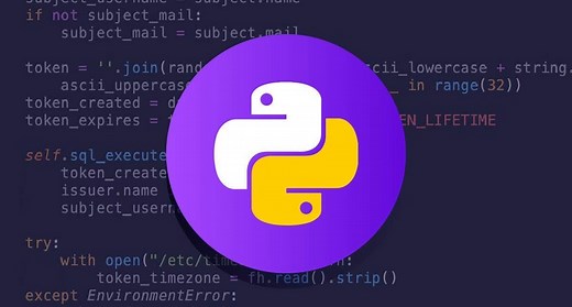 分步教程：使用 Python 制作网页抓取工具