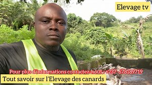 L’élevage des canards est une activité économique fortement rentable | Élevages Leaders