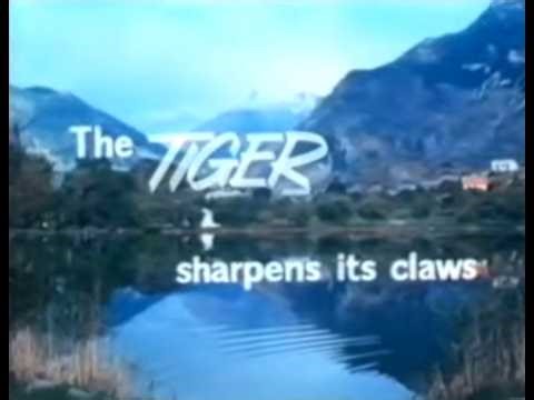 The Tiger sharpens its claws