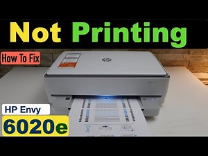 HP Envy 6020e Not Printing !!
