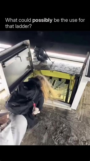 That ladder is a classic example of **architectural vestige** often left behind when a building's layout changes but the hardware stays bolted to the wall. It likely served as a dedicated access point for a high-voltage transformer, a hidden HVAC unit, or an old mezzanine level that has since been demolished, leaving it