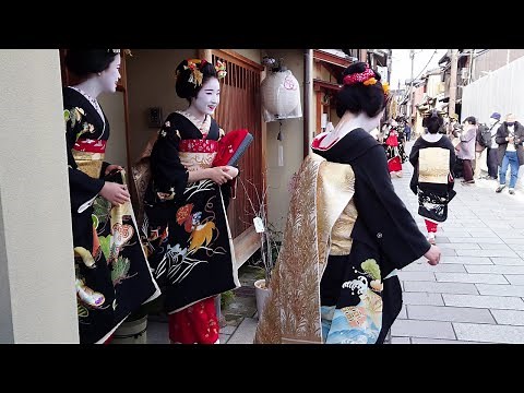 How to meet a Geisha other than Gion in Kyoto | Miyagawacho | Amazing Kimono and Obi | Japan Travel