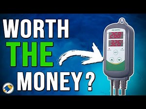 Inkbird ITC-308 Review - MR BRIGHTFRYED