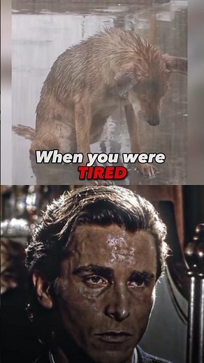 Dog Sad Moments Who Really Cares ❤️‍🩹