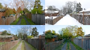 Time-lapse video of seasons changing in Canada mesmerises netizens