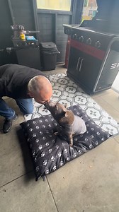 Sheryl Collins on Reels