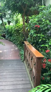 8.7K views · 1.3K reactions | Green Singing Finch Video of the Week. Spoiler Alert: he doesn’t sing in this video | The Key West Butterfly & Nature Conservatory | Facebook