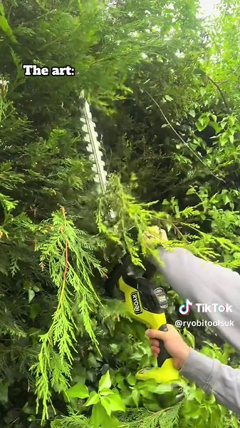 Ryobi 18V ONE Cordless Hedge Trimmer: Art of Gardening
