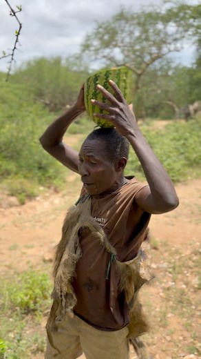 88K views · 668 reactions | Hadzabetribe hunter Taking about watermelon  #hadzabetribe #hadzabelifestyle #hadzabebushman #bushcraft #bushlife #wildlife #watermelon | Vinod Kumar | Facebook